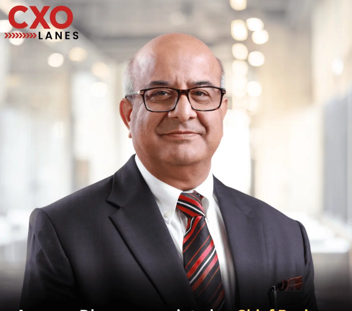 Pierag Consulting appointed Anupam Dhawan as Chief Business Advisor